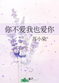 《你不爱我也爱你》