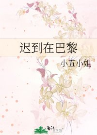 《迟到在巴黎》