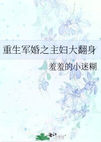 《重生军婚之主妇大翻身》