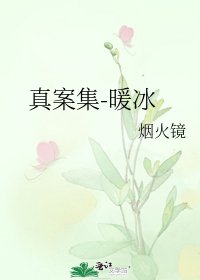 《真案集-暖冰》