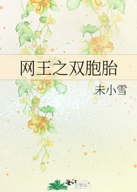 《网王之双胞胎》