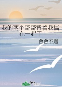 《我的两个哥哥背着我搞在一起了》