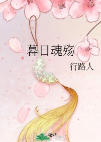 《暮日魂殇》