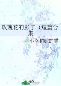 《玫瑰花的影子(短篇合集》
