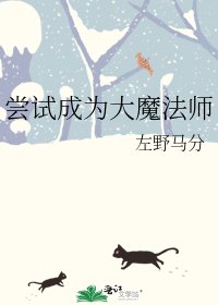 《尝试成为大魔法师》