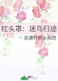 红头罩:迷鸟归途