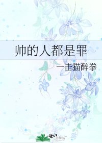 《帅的人都是罪》