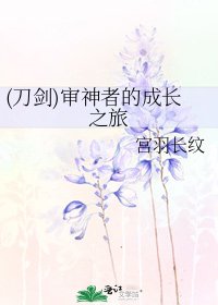 《(刀剑)审神者的成长之旅》