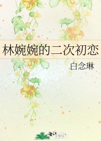 《林婉婉的二次初恋》