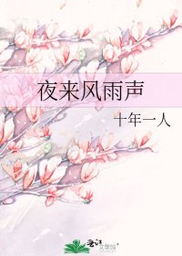 《夜来风雨声》