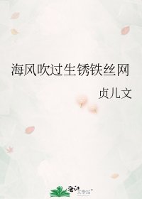 《海风吹过生锈铁丝网》