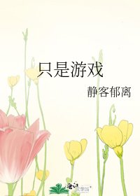 《只是游戏》