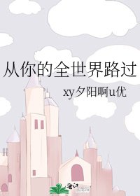 《从你的全世界路过》
