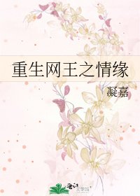 重生网王之情缘