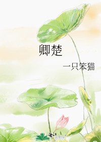 《卿楚》