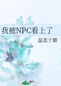 我被NPC看上了