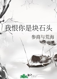 《我恨你是块石头》