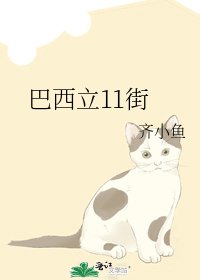 《巴西立11街》