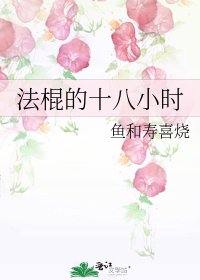 《法棍的十八小时》