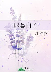 《迟暮白首》