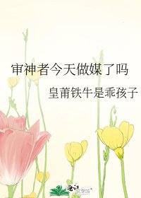 《审神者今天做媒了吗》