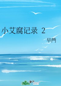 《小艾腐记录 2》
