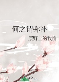 《何之谓弥补》