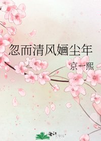 《忽而清风婳尘年》