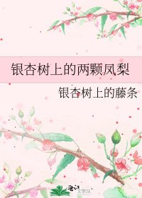 《银杏树上的两颗凤梨》
