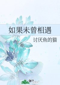 《如果未曾相遇》