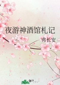 《夜游神酒馆札记》