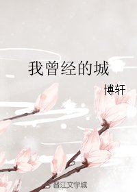 我曾经的城