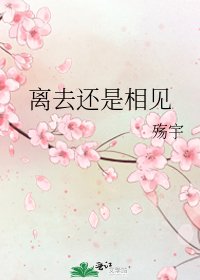 《离去还是相见》