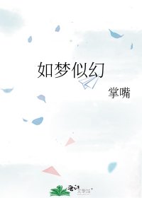《如梦似幻》