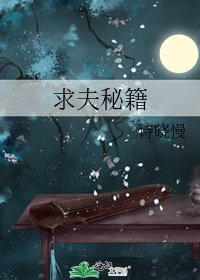 《求夫秘籍》