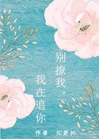 《我在你隔壁/别撩我,我在追你》