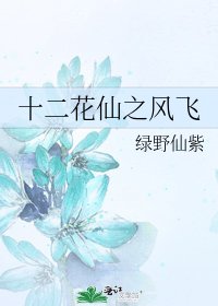 《十二花仙之风飞》