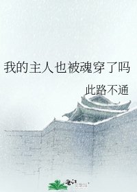 《我的主人也被魂穿了吗》