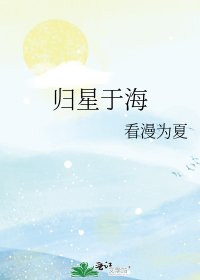 《归星于海》
