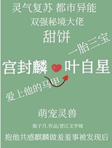 《在秘境里热恋后怀崽了》