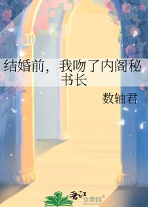 《结婚前,我吻了内阁秘书长》
