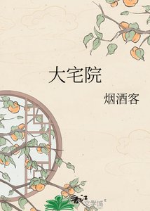 《大宅院》