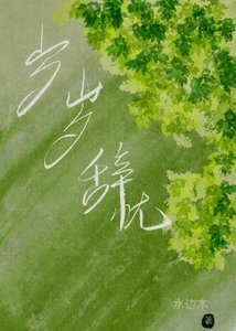 《岁岁辞忧》