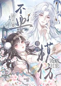 《请不要模仿我的巩略对象》