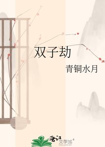 《双子劫》