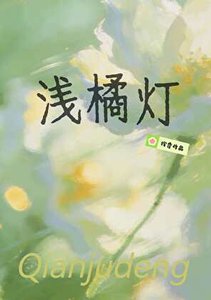 《浅橘灯》