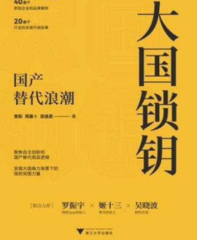 《大国锁钥:国产替代郎巢(出版书)》