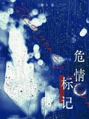 《危情标记》