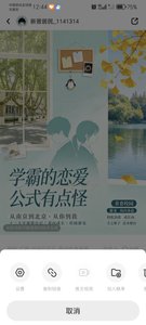《学霸的恋爱公式有点怪》