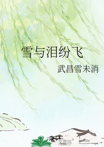 《雪与泪纷飞》